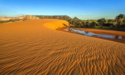 As incríveis dunas do Jalapão